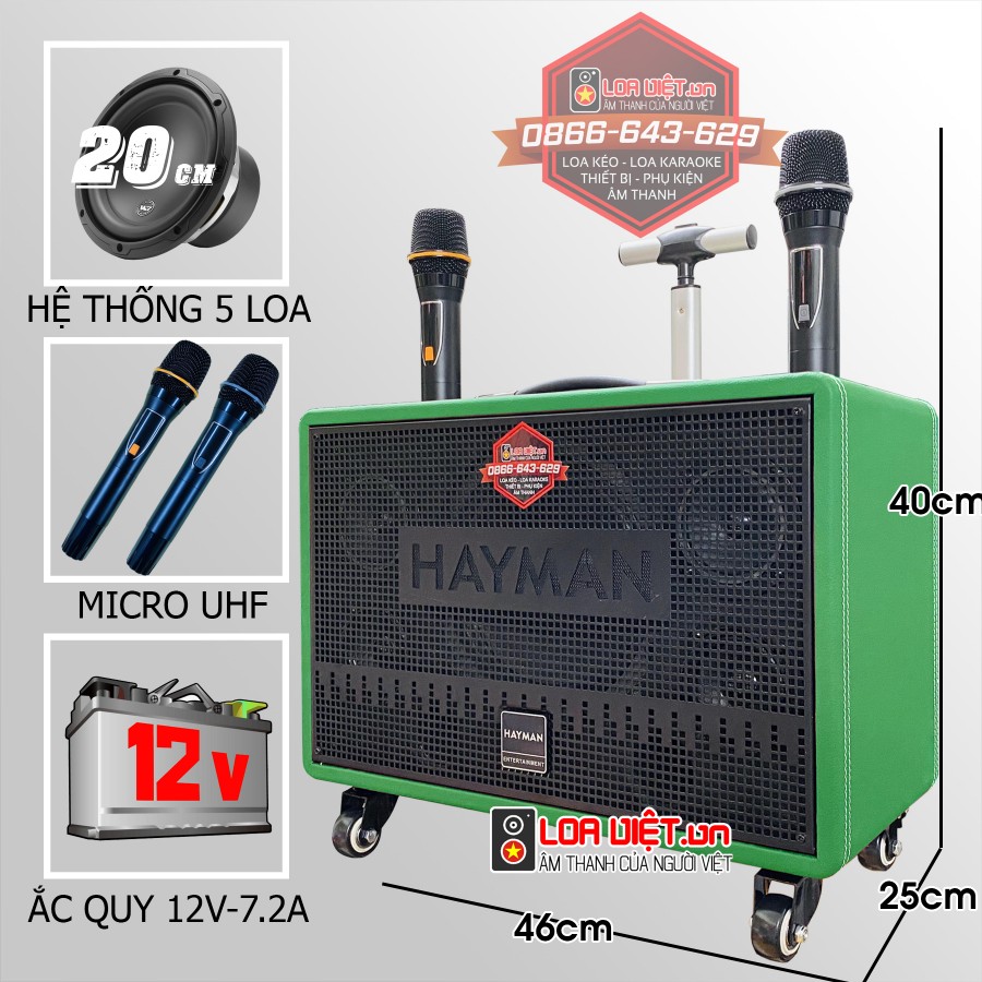 Loa xách tay HAYMAN X8-8 Bass 20